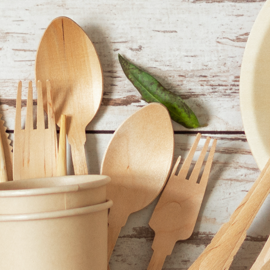 Disposable Cutlery