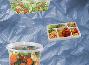 Hot Food Packaging Hot Food Packaging