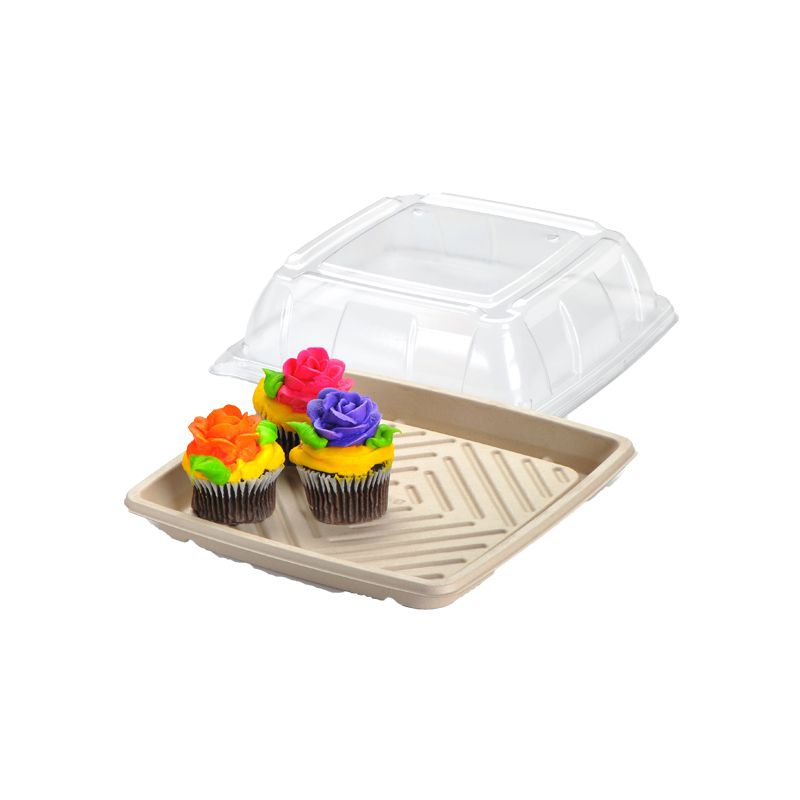 Disposable Catering Boxes